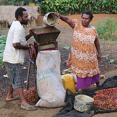 Opportunities and challenges for coffee production in PNG’s highlands